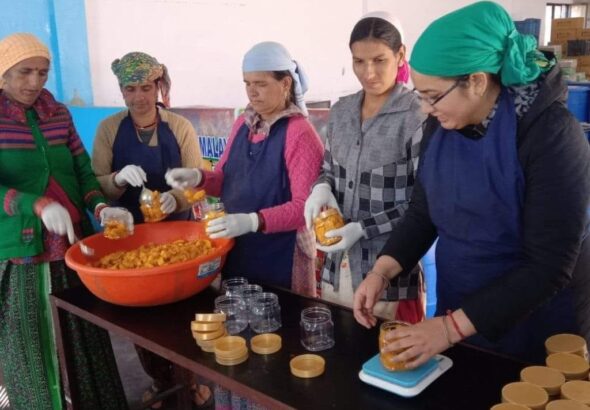 योगेश और ऋचा ने पेश की स्वरोजगार की मिसाल, गांव से शहर तक पहुंचाया कारोबार